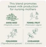 شاي Mother’s Milk العضوي - Image 4